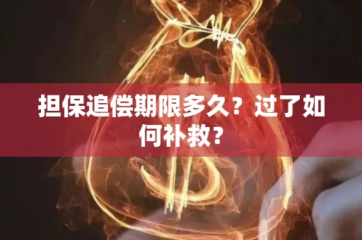 昆山担保追偿期限多久?过了如何补救?